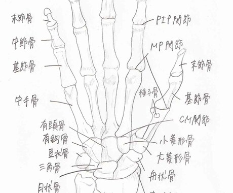 医療系の手描きイラスト作成します 現役医学生の 医療系の手描きイラスト作成します 現役医学生の