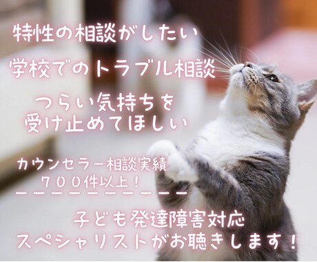 子どもの発達特性に悩むママさんのお話を聴きます 発達特性のある子と向き合う毎日を少し楽に イメージ2