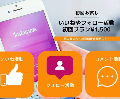 インスタいいねやフォロー活動いたします 【期間限定価格】お試しプラン登場！まずは試してみたい方に！ イメージ1