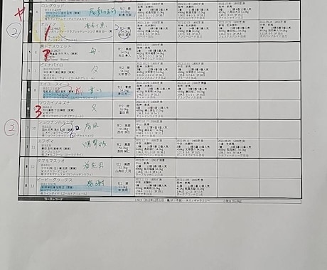 出馬表のみで馬券になる馬を導きます 一緒に穴馬見つけましょう！！！ イメージ1