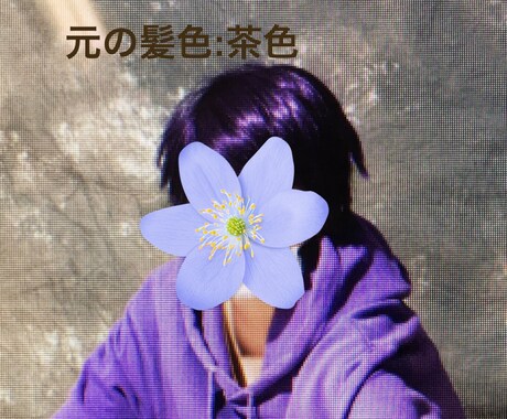 画像加工で髪色変えてみませんか？ イメージ2