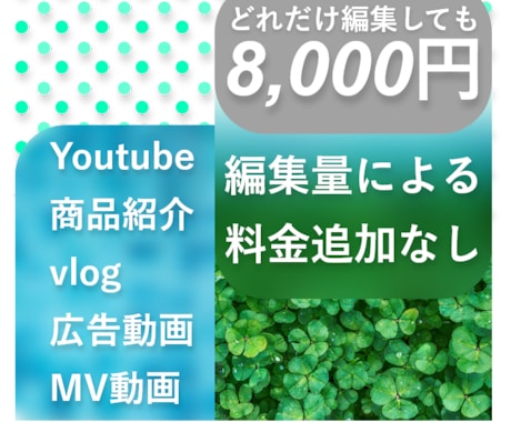 コストで妥協しない動画編集やります 編集工程の量による料金変動無し!一律8,000円! イメージ1