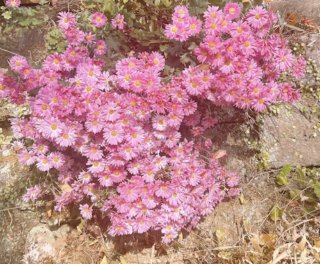 メイクレッスンをします 夏に向けてメイクを変えてイメチェンや垢抜けたい方是非♡♡♡ イメージ1
