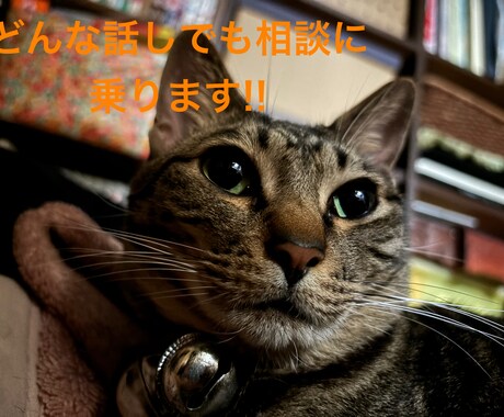 話し相手になります 普段誰にも離せないこととか聞きます！ イメージ1