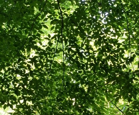あなたの話し相手になります アラサーおじさんですかよろしくお願いします。 イメージ1