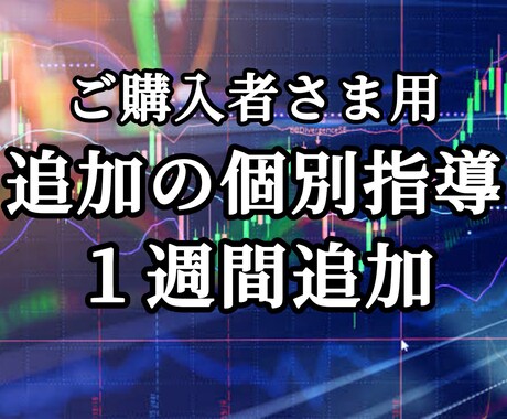 ご購入者さま専用。追加で個別指導をいたします 更にレクチャーご希望の方、納得するまで何でもお訊ねください！ イメージ1