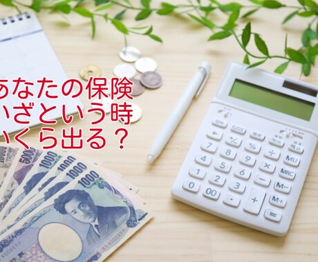 あなたの生命保険の内容をご説明します ファイナンシャルプランナーが、セカンドオピニオン イメージ1
