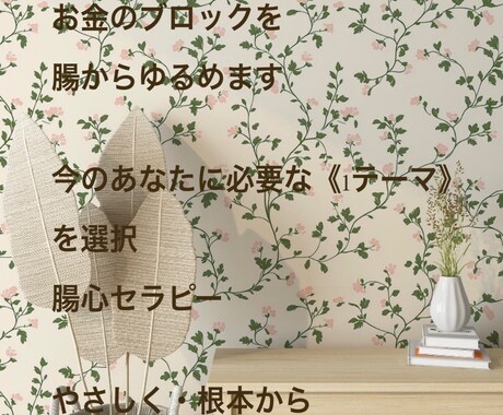 お金のブロックを腸から根本的にゆるめます 今のお金の停滞に合うテーマを1つ選びます イメージ2