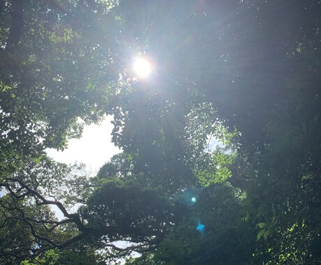心の病を持ったあなたのその心の叫び聞きます 心の病を抱えてのその生きづらさや苦しさ、私が包ませて下さい。 イメージ1