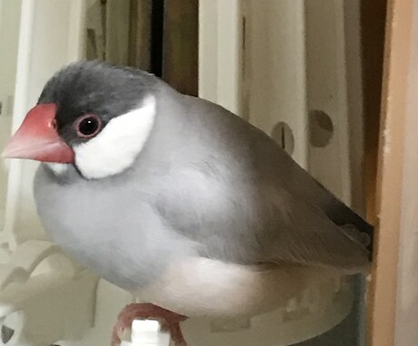 愚痴やたわいも無い話でもいいので待ってます 親身に聞きます、誰でもいいです イメージ1