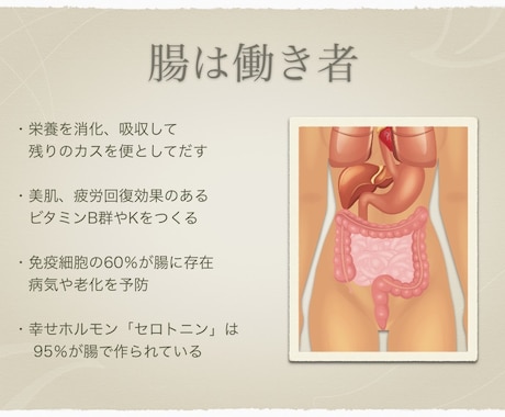 女性限定⭐︎腸内タイプ診断！腸のお悩みお答えします お腹に関する様々なお悩みに☆腸内タイプ診断でまずは知ろう♪ イメージ2