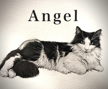 犬•猫•ペットの似顔絵を鉛筆画で丁寧に描きます 【先着3名様限定】今だけ特別価格で受付いたします イメージ2