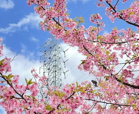 日本語⇆中国語の翻訳をします HSK6級バイリンガルが担当をします！ イメージ1