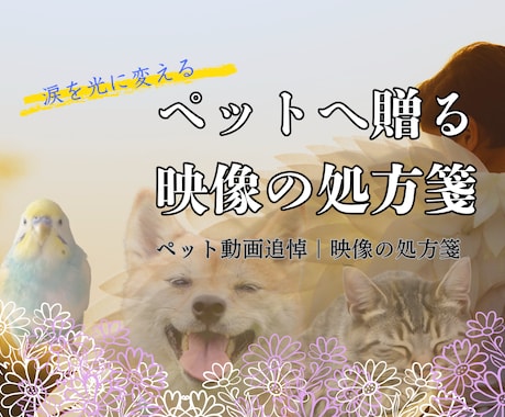 涙を光に変えるペットメモリアル動画を制作します グリーフケア専門家が贈る、世界にひとつの映像の処方箋 イメージ1