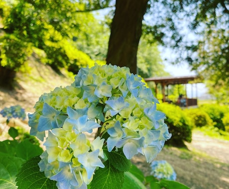 霊感⭐︎幸せに導く寄り添い【本格鑑定】します 占いながら波動修正でサポートします イメージ2