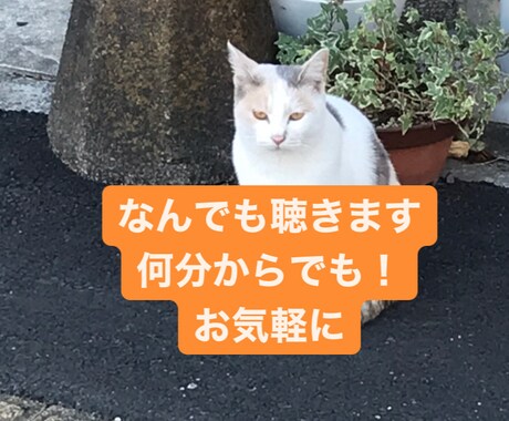なんでも受け止めて聴きます 趣味でも愚痴でもなんでもどうぞ！ イメージ1