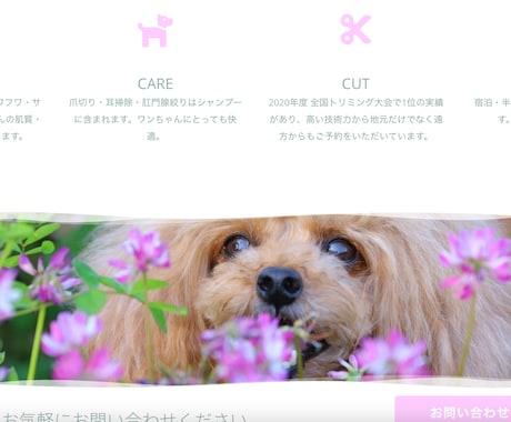 WordPressサイトやホームページを制作します 起業・開業などで安くホームページを作りたい方におすすめ！ イメージ2