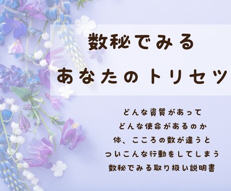 あなたの使命と人生を数秘とタロットで鑑定します あなたの資質や特性、2026年運気の鑑定書 ˊ˗ イメージ1