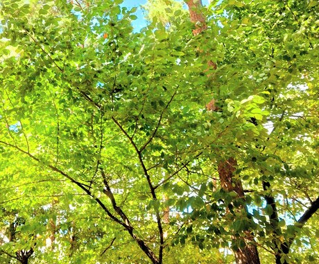 数秘、オラクルカードメッセージを見ます シンプルに、数字とカードからのメッセージを送ります。 イメージ1