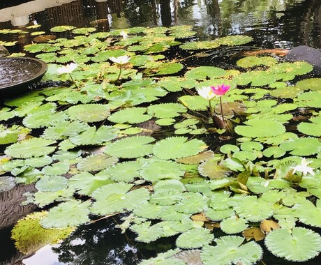 貴方の心の悩み、恋愛の悩み、お聞きします 波乱万丈な人生相談なら任して下さい。人は千差万別なものです。 イメージ1