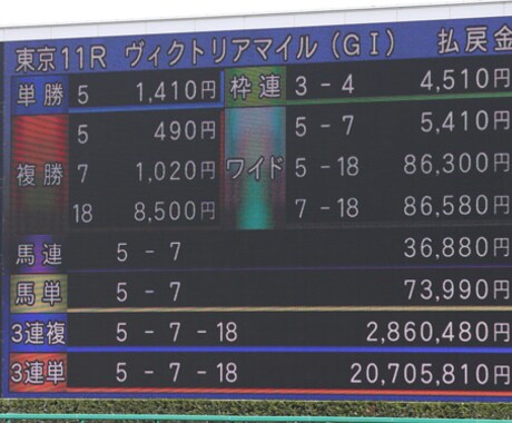 独自の競馬予想法で買い目提供します 複勝、馬連、馬単、3連複、3連単から大予想！ イメージ2