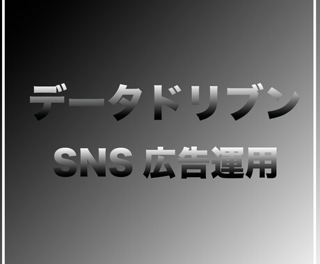 大手SNS広告運用経験者がSNS広告運用を行います 広告運用からクリエイティブ制作まで一貫してお取り組み可能 イメージ1