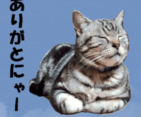 ペットのオリジナルLINEスタンプ製作いたします 可愛いペットのLINEスタンプが欲しいあなたへ イメージ1