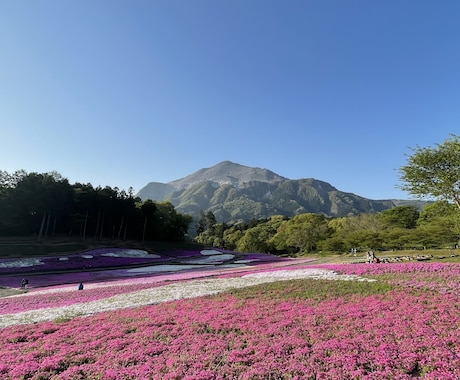 お二人の思い出を撮影します 旅行や観光山行などに同行し、写真撮影をいたします。 イメージ2