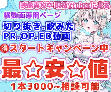 忙しい貴方へ！バズる動画制作します YouTubeは動画で伸ばしましょう！横動画専用ページ イメージ1