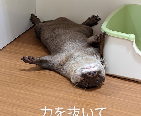 チャット相談！経験者がうつ病など相談に乗ります いじめ、うつ病などの経験者が相談に乗ります イメージ1