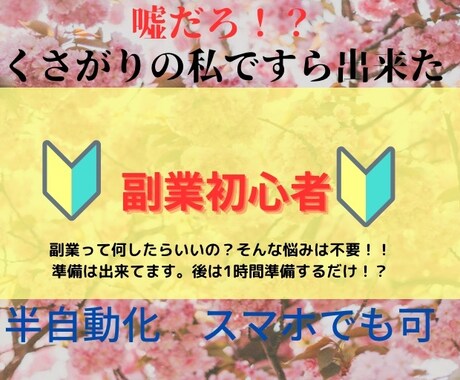面倒くさがりでも副業初心者でも在宅簡単副業教えます イメージ1