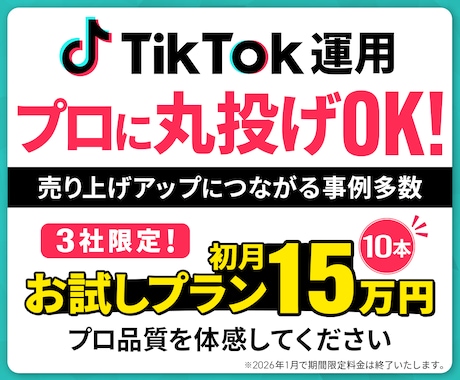 プロに丸投げ！TikTokアカウントを運用します TikTokで収益に繋げるためのサポートを行います イメージ1