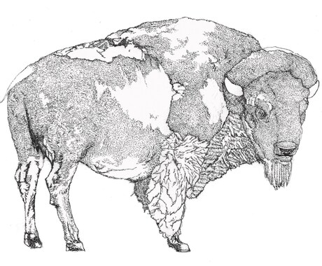 動物の細密画をお描きします イメージ1