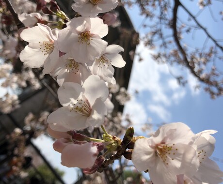 話し相手になります 普段溜め込んでる悩みなど聞きます イメージ1