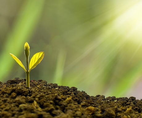 20代限定！　人生100年時代の資産形成を教えます 人生100年時代を生き抜くための資産形成戦略 イメージ1