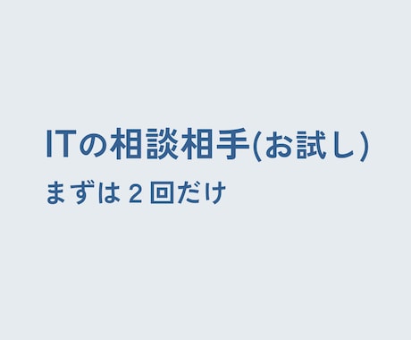 個人・小規模事業者向け｜IT顧問・相談お受けします 【2回のみ】定期購入が不安な方向けのお試しサービスです イメージ1