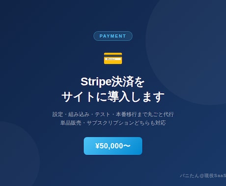 Stripe決済をサイトに導入・設定します イメージ1
