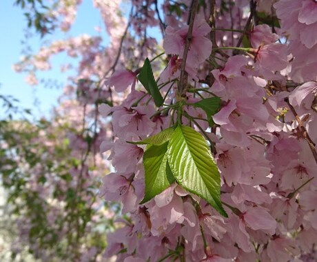 げつようサプリ◎明日が嫌な人の時間潰し付き合います しょうもない話、グチ、笑える話、無言、誰にも言えないこと イメージ1