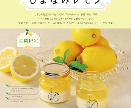 広告の構成案つくります チラシなどの構成案を作成もしくはアドバイス イメージ2