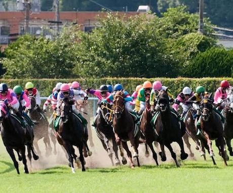 サイトからデータを収集、指定のファイルで納品します 一般サイトから競馬、競艇、競輪、パチンコまで幅広く対応！ イメージ2