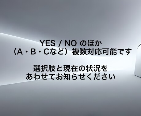 人生の選択をYES / NOでお答えします 選択肢を教えてください。決める前に、客観的な視点を。 イメージ2