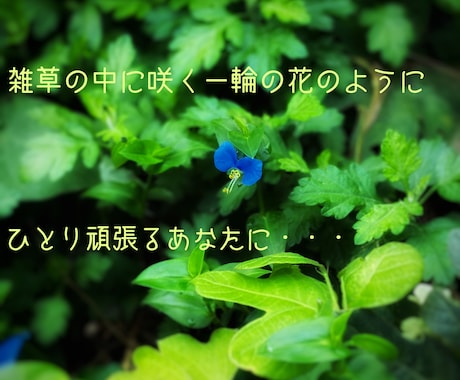 死にたくなるほど辛い時、あなたにそっと寄り添います 世の中色々なニュースが飛び交い、憂鬱になってしまった時に。 イメージ1