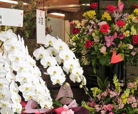 店舗開業のワンストップサービスを紹介します 店舗開業をスピーディーに加速させます イメージ1