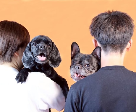 浜松市で愛犬専門の出張撮影いたします ご自宅で自然な表情を丁寧に撮影します イメージ1
