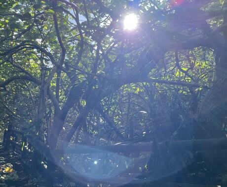どんな悩みでもききます 自分が様々体験、体感した事からお伝えできればとおもいます！ イメージ2