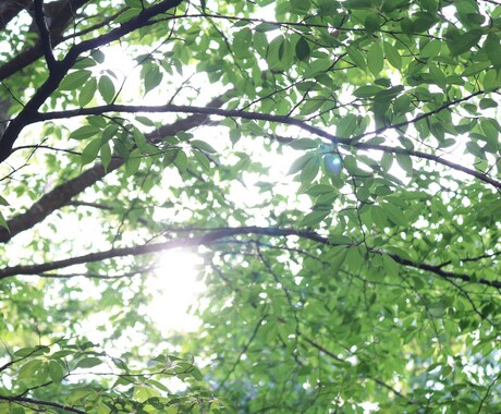 貴方の悩みに答えます 小さい事でもok！どん底からはいあがった経験者が導きます！ イメージ2