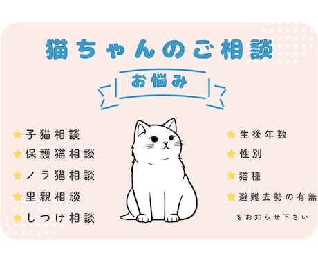 野良猫の保護や子猫の育て方などのご相談受けます 子猫9匹、成猫20匹以上保護してきた経験からお話しします！ イメージ1