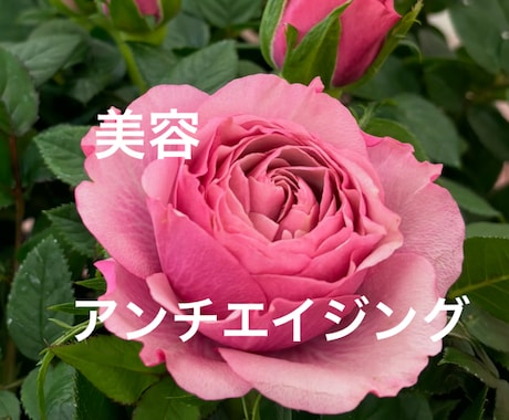 若返りアンチエイジング　美容遠隔施術でお届けします 家にいたままでお肌☆フェイスライン☆ 鏡を見るのがたのしみに イメージ1