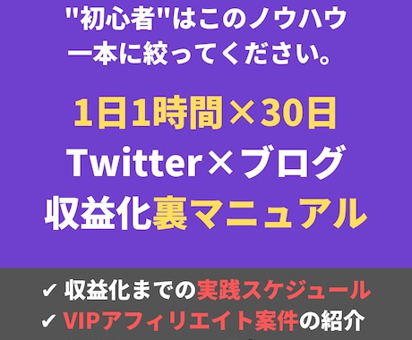 初心者こそやるべきアフィリエイト『裏手法』教えます サポート付き。1日1時間でOK。0から収益化するノウハウです イメージ1