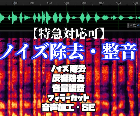 最短即日、音声ノイズ除去・整音をプロ品質で承ります 細部まで丁寧にノイズ処理。商業・長尺作品にも幅広く対応します イメージ1